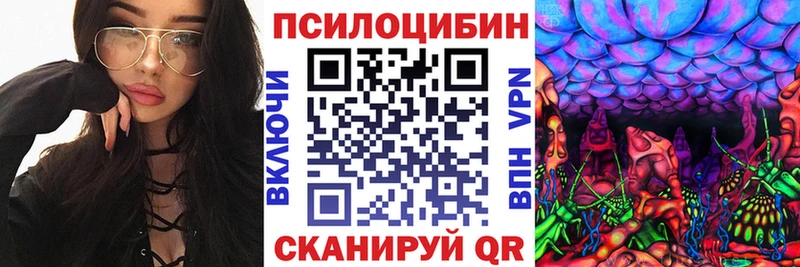Галлюциногенные грибы Psilocybe  Нестеровская 